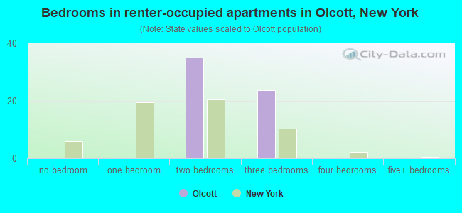 Bedrooms in renter-occupied apartments in Olcott, New York