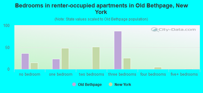 Bedrooms in renter-occupied apartments in Old Bethpage, New York