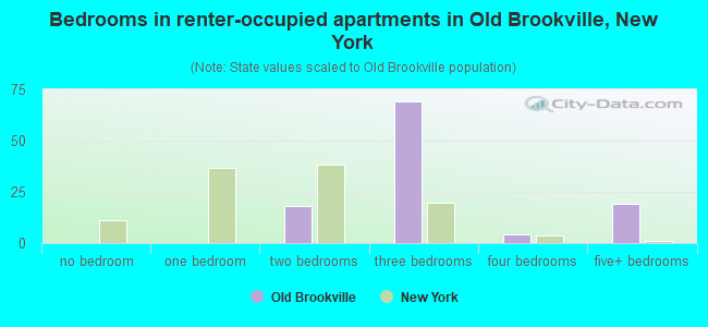 Bedrooms in renter-occupied apartments in Old Brookville, New York