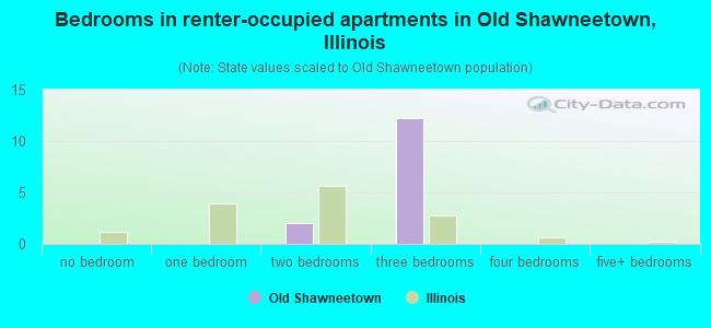 Bedrooms in renter-occupied apartments in Old Shawneetown, Illinois