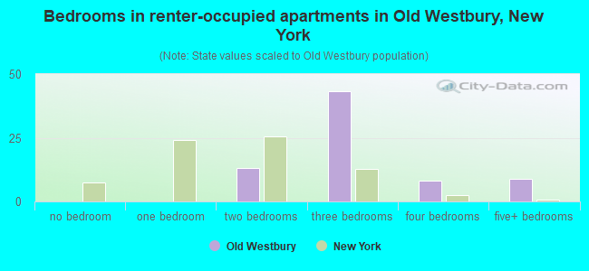 Bedrooms in renter-occupied apartments in Old Westbury, New York