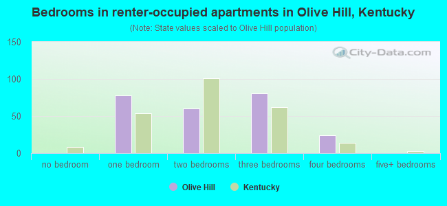 Bedrooms in renter-occupied apartments in Olive Hill, Kentucky