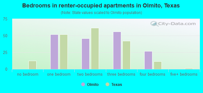 Bedrooms in renter-occupied apartments in Olmito, Texas