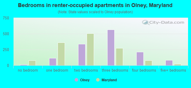 Bedrooms in renter-occupied apartments in Olney, Maryland