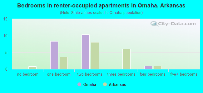 Bedrooms in renter-occupied apartments in Omaha, Arkansas