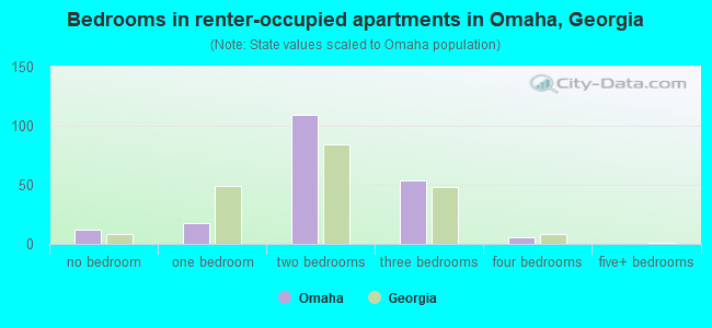 Bedrooms in renter-occupied apartments in Omaha, Georgia
