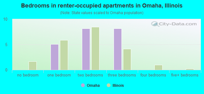 Bedrooms in renter-occupied apartments in Omaha, Illinois