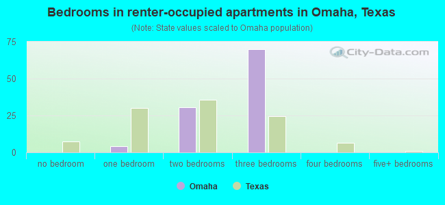Bedrooms in renter-occupied apartments in Omaha, Texas