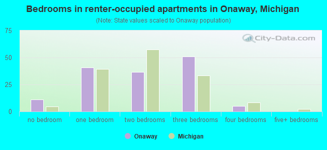 Bedrooms in renter-occupied apartments in Onaway, Michigan