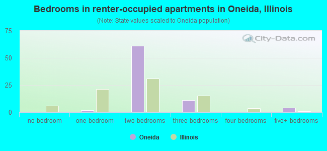 Bedrooms in renter-occupied apartments in Oneida, Illinois