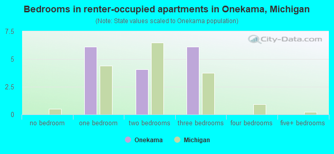 Bedrooms in renter-occupied apartments in Onekama, Michigan