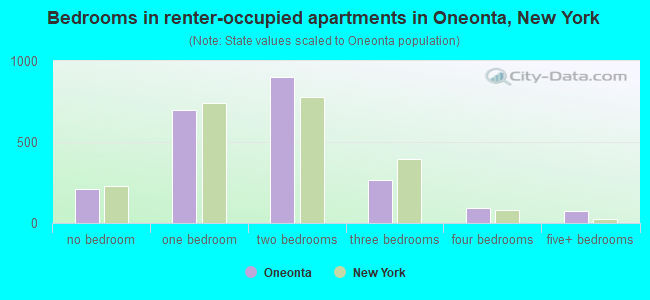 Bedrooms in renter-occupied apartments in Oneonta, New York