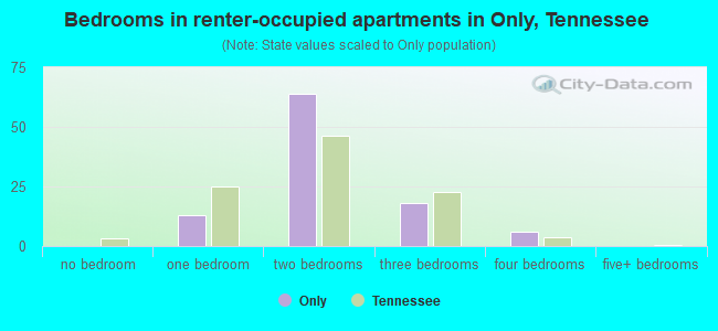Bedrooms in renter-occupied apartments in Only, Tennessee