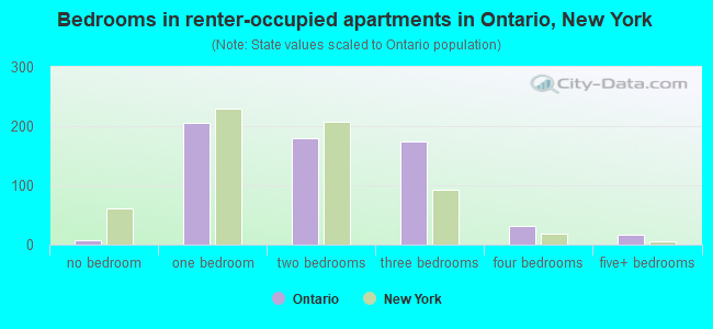 Bedrooms in renter-occupied apartments in Ontario, New York