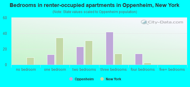 Bedrooms in renter-occupied apartments in Oppenheim, New York