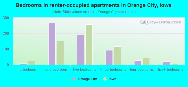 Bedrooms in renter-occupied apartments in Orange City, Iowa