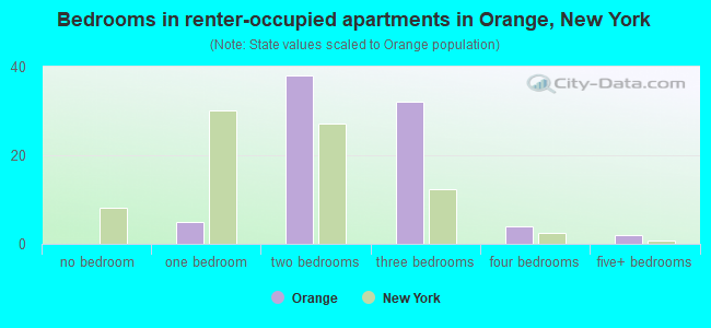 Bedrooms in renter-occupied apartments in Orange, New York
