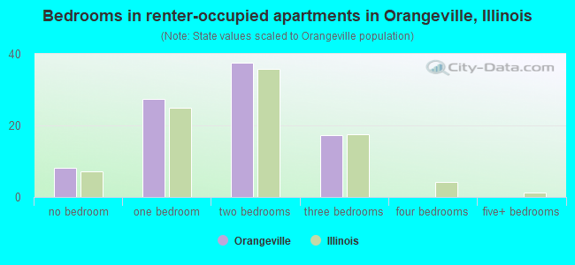Bedrooms in renter-occupied apartments in Orangeville, Illinois