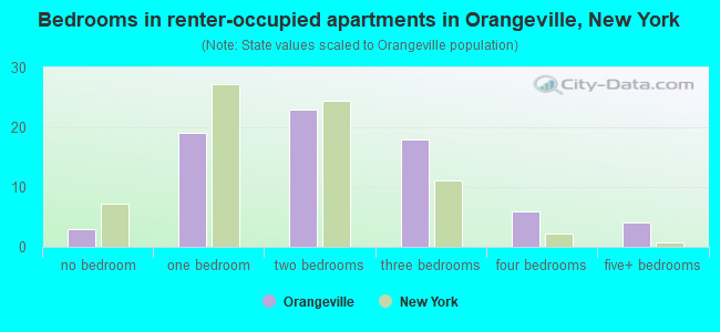 Bedrooms in renter-occupied apartments in Orangeville, New York