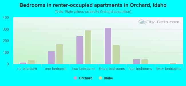 Bedrooms in renter-occupied apartments in Orchard, Idaho
