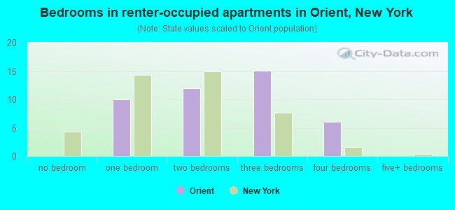 Bedrooms in renter-occupied apartments in Orient, New York