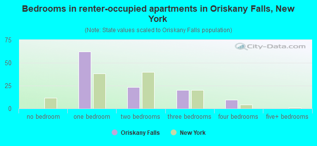 Bedrooms in renter-occupied apartments in Oriskany Falls, New York