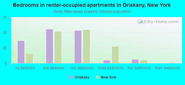 Bedrooms in renter-occupied apartments in Oriskany, New York