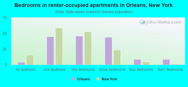 Bedrooms in renter-occupied apartments in Orleans, New York