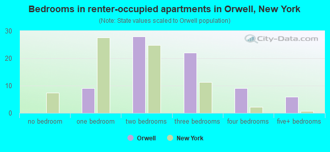 Bedrooms in renter-occupied apartments in Orwell, New York