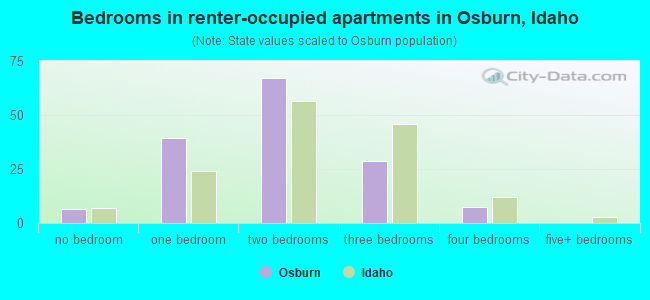 Bedrooms in renter-occupied apartments in Osburn, Idaho
