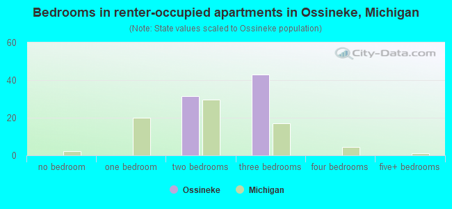 Bedrooms in renter-occupied apartments in Ossineke, Michigan