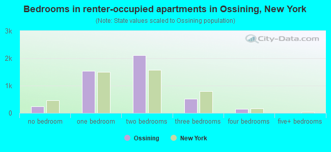 Bedrooms in renter-occupied apartments in Ossining, New York