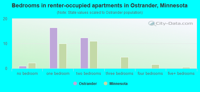 Bedrooms in renter-occupied apartments in Ostrander, Minnesota