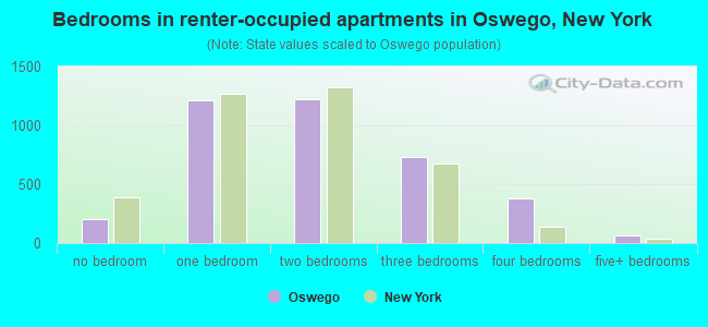 Bedrooms in renter-occupied apartments in Oswego, New York