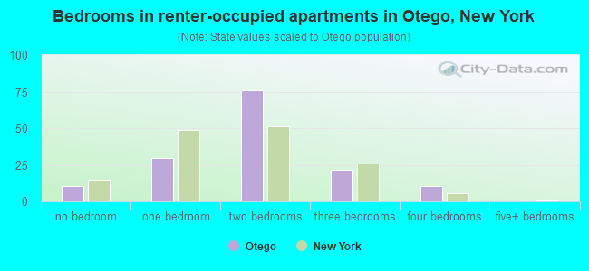 Bedrooms in renter-occupied apartments in Otego, New York