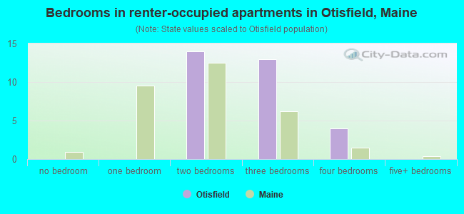 Bedrooms in renter-occupied apartments in Otisfield, Maine