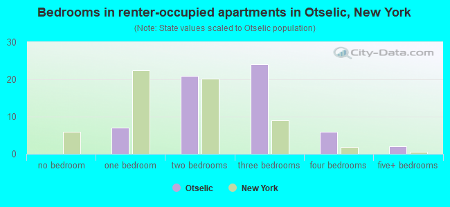Bedrooms in renter-occupied apartments in Otselic, New York