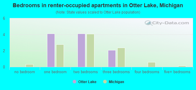Bedrooms in renter-occupied apartments in Otter Lake, Michigan