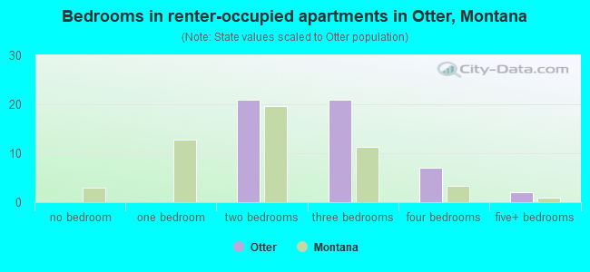 Bedrooms in renter-occupied apartments in Otter, Montana