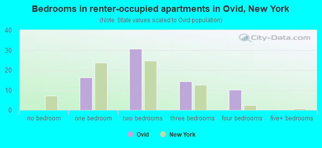 Bedrooms in renter-occupied apartments in Ovid, New York