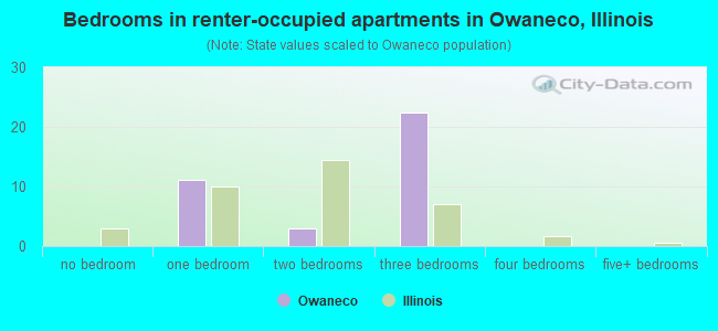 Bedrooms in renter-occupied apartments in Owaneco, Illinois