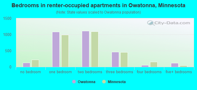 Bedrooms in renter-occupied apartments in Owatonna, Minnesota