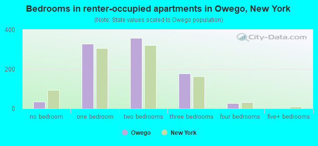 Bedrooms in renter-occupied apartments in Owego, New York