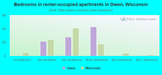 Bedrooms in renter-occupied apartments in Owen, Wisconsin