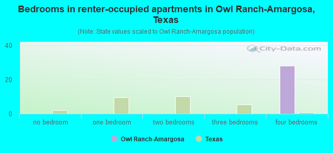 Bedrooms in renter-occupied apartments in Owl Ranch-Amargosa, Texas