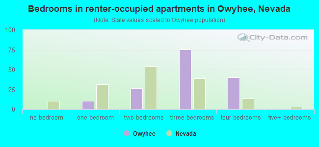 Bedrooms in renter-occupied apartments in Owyhee, Nevada