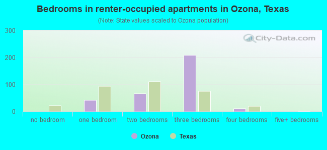 Bedrooms in renter-occupied apartments in Ozona, Texas