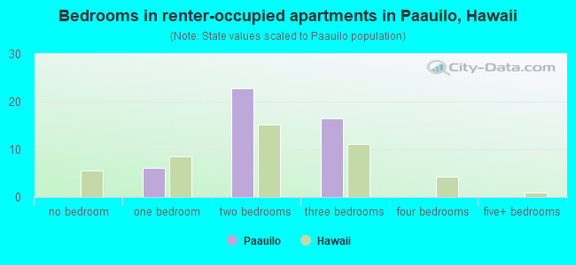 Bedrooms in renter-occupied apartments in Paauilo, Hawaii