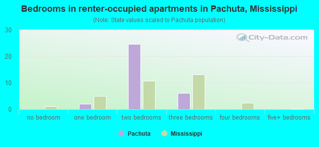Bedrooms in renter-occupied apartments in Pachuta, Mississippi