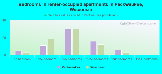 Bedrooms in renter-occupied apartments in Packwaukee, Wisconsin